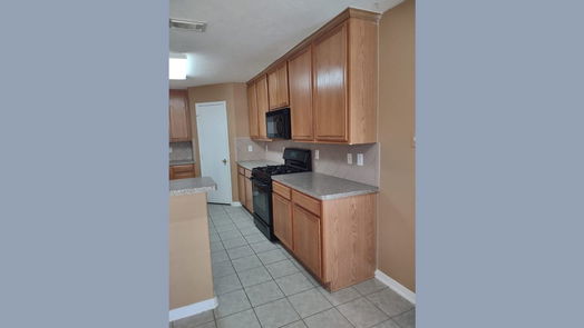 Sugar Land 1-story, 4-bed 15207 Snow Hill Court-idx