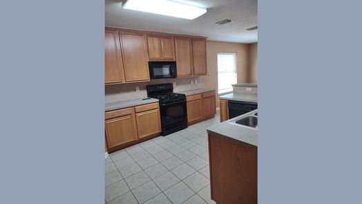 Sugar Land 1-story, 4-bed 15207 Snow Hill Court-idx