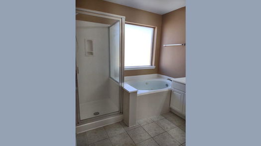 Sugar Land 1-story, 4-bed 15207 Snow Hill Court-idx