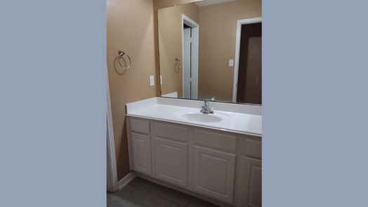 Sugar Land 1-story, 4-bed 15207 Snow Hill Court-idx