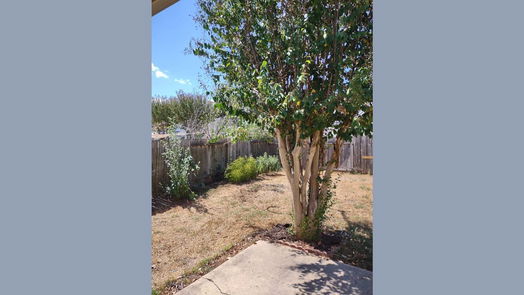 Sugar Land 1-story, 4-bed 15207 Snow Hill Court-idx