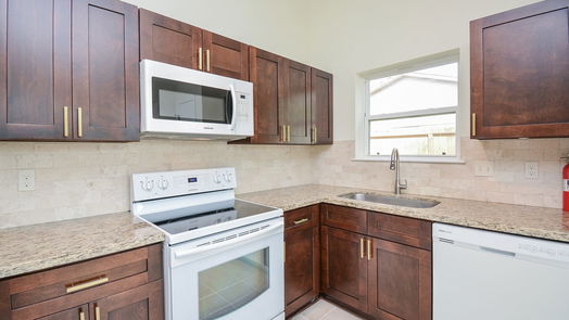 Sugar Land 1-story, 3-bed 17107 Amber Ridge Drive-idx