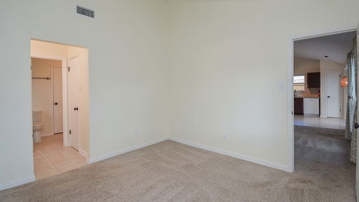 Sugar Land 1-story, 3-bed 17107 Amber Ridge Drive-idx