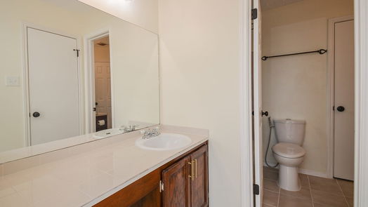 Sugar Land 1-story, 3-bed 17107 Amber Ridge Drive-idx