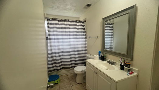 Sugar Land 1-story, 3-bed 16831 Rippling Mill Drive-idx