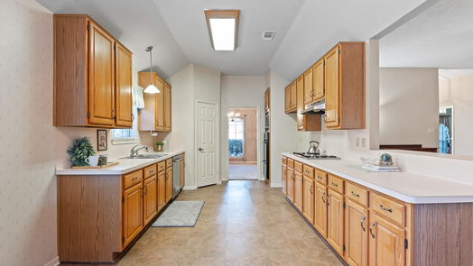 Sugar Land 1-story, 3-bed 1203 Lake Estates Court-idx