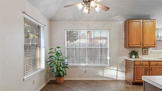Sugar Land 1-story, 3-bed 1203 Lake Estates Court-idx