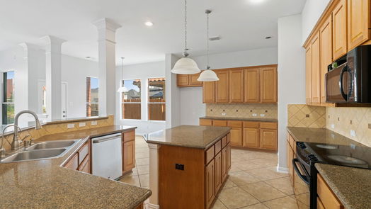 Sugar Land 2-story, 4-bed 14411 Castlemaine Court-idx