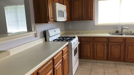 Sugar Land 1-story, 3-bed 14114 Susan Court-idx