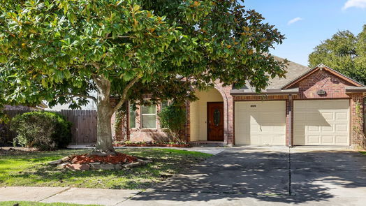 Sugar Land 1-story, 3-bed 16918 Blue Mist Circle-idx