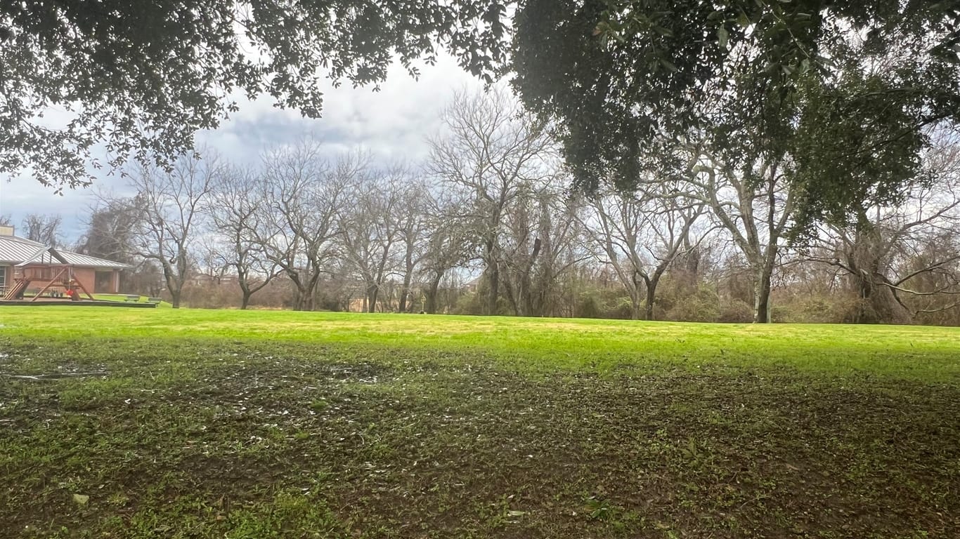 Sugar Land null-story, null-bed 1123 Burney Road-idx
