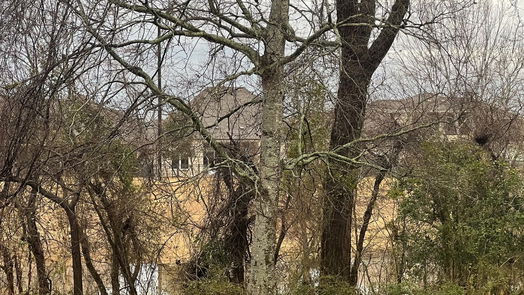 Sugar Land null-story, null-bed 1123 Burney Road-idx