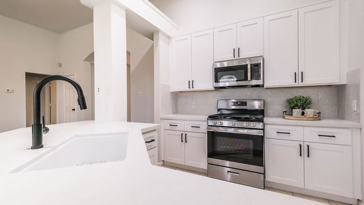 Sugar Land 1-story, 3-bed 16806 DUNBAR GROVE Court-idx