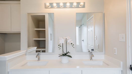 Sugar Land 1-story, 3-bed 16806 DUNBAR GROVE Court-idx