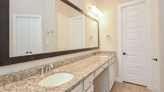 Sugar Land 1-story, 4-bed 11 Honor Cove-idx