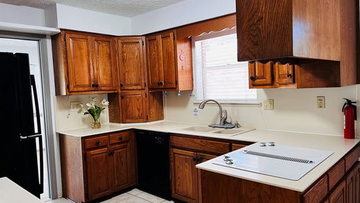Sugar Land 1-story, 4-bed 13834 Oakwood Ln-idx