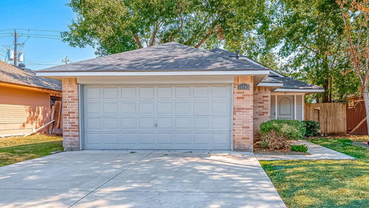 Sugar Land 1-story, 2-bed 10743 Parkland Woods Drive-idx