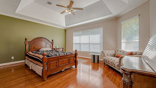 Sugar Land 2-story, 5-bed 13651 Schumann Trail-idx