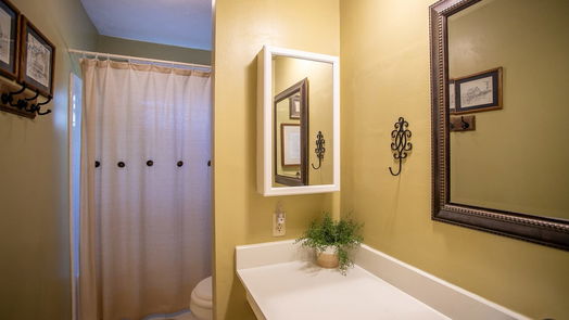 Sugar Land null-story, 3-bed 14326 Templar Lane-idx