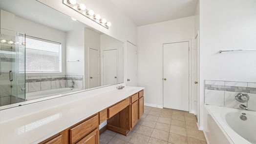 Sugar Land 2-story, 4-bed 16831 Needle Ridge Court-idx