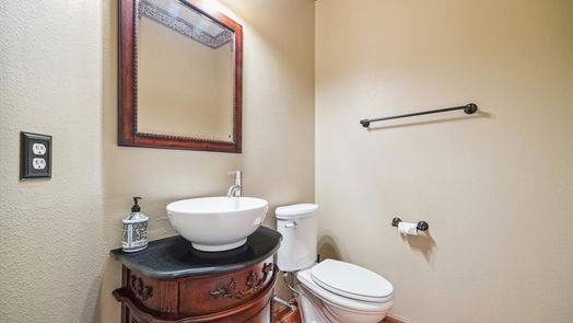Sugar Land 2-story, 4-bed 16831 Needle Ridge Court-idx
