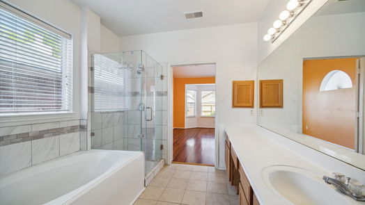 Sugar Land 2-story, 4-bed 16831 Needle Ridge Court-idx