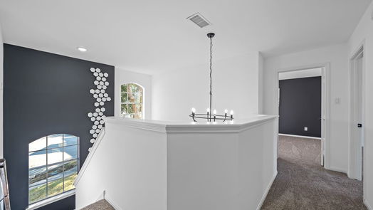 Sugar Land 2-story, 4-bed 16802 Pheasant Creek Court-idx