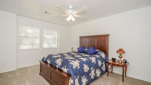 Sugar Land 2-story, 4-bed 14422 Ardwell Drive-idx