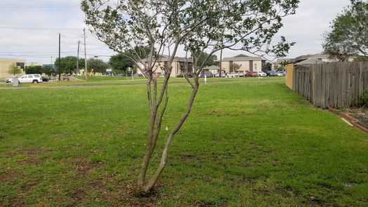 Pasadena null-story, null-bed 0 Allen Genoa Road-idx