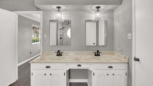 Alvin null-story, 4-bed 10726 E Fm 1462 Road-idx