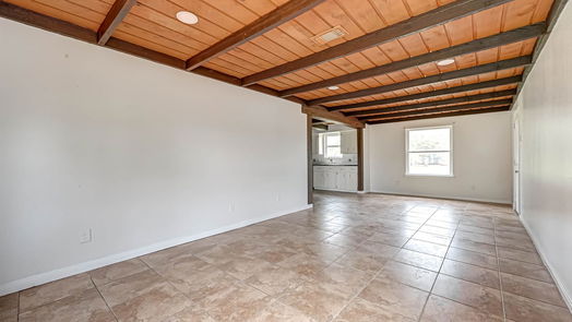 Alvin 1-story, 3-bed 14205 Patricia Lane-idx