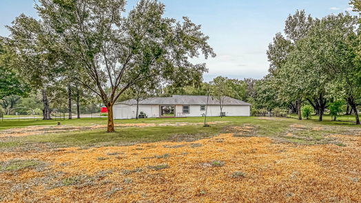 Alvin 1-story, 3-bed 14205 Patricia Lane-idx