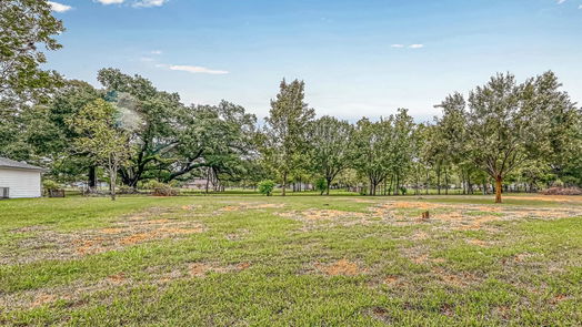 Alvin 1-story, 3-bed 14205 Patricia Lane-idx