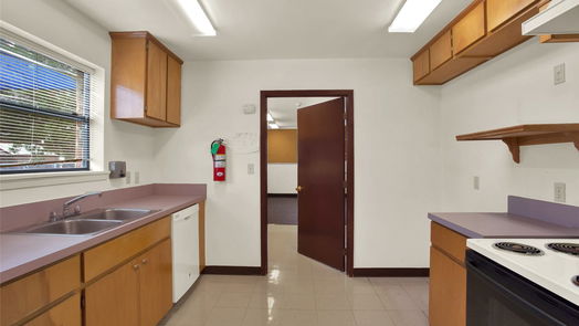 Alvin 1-story, 3-bed 907 Cedar Lawn Drive-idx