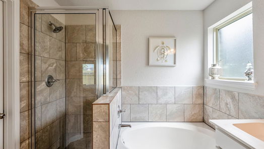 Alvin null-story, 3-bed 733 Rim Water Drive-idx