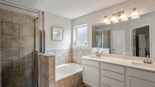 Alvin null-story, 3-bed 733 Rim Water Drive-idx