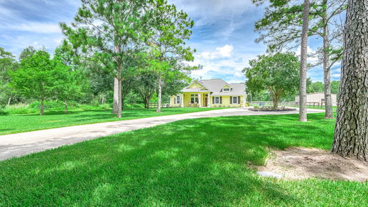 Alvin 1-story, 3-bed 424 County Road 193-idx