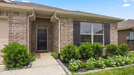 Alvin 1-story, 4-bed 2508 Gelding Manor Drive-idx