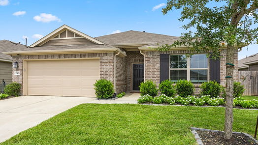 Alvin 1-story, 4-bed 2508 Gelding Manor Drive-idx