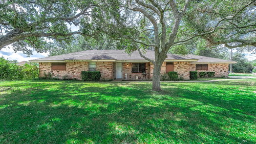 Alvin 1-story, 3-bed 13714 County Road 282-idx