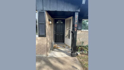 Alvin 1-story, 4-bed 1107 Dover Circle-idx