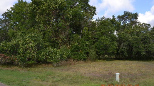 Angleton null-story, null-bed 401 Rancho Chico Trail-idx