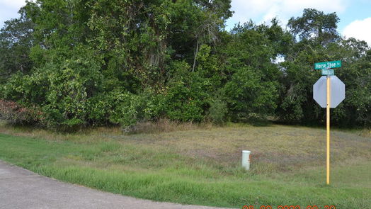 Angleton null-story, null-bed 401 Rancho Chico Trail-idx