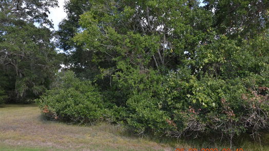 Angleton null-story, null-bed 401 Rancho Chico Trail-idx
