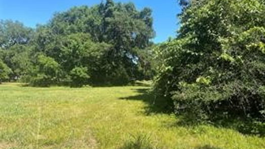 Angleton null-story, null-bed 663 Pony Trail-idx