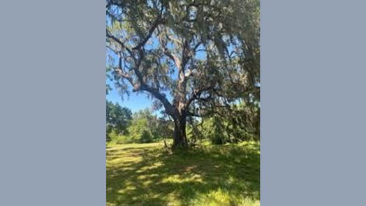 Angleton null-story, null-bed 663 Pony Trail-idx