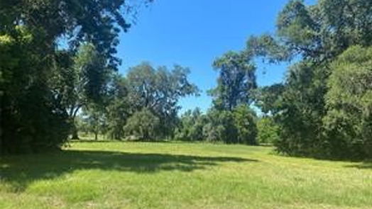 Angleton null-story, null-bed 663 Pony Trail-idx