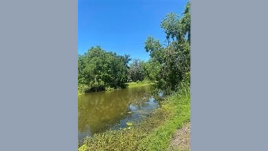 Angleton null-story, null-bed 663 Pony Trail-idx