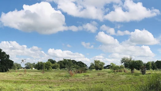 Angleton null-story, null-bed 762 Stallion Circle-idx