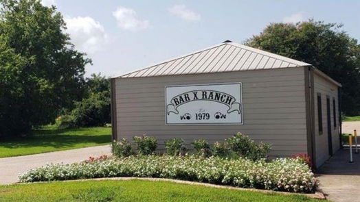 Angleton null-story, null-bed 762 Stallion Circle-idx